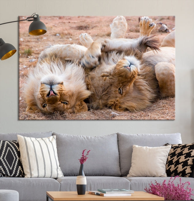 Cute Lions on Africa Savannah Framed Canvas Wall Art Giclee Print