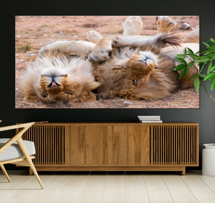 Cute Lions on Africa Savannah Framed Canvas Wall Art Giclee Print