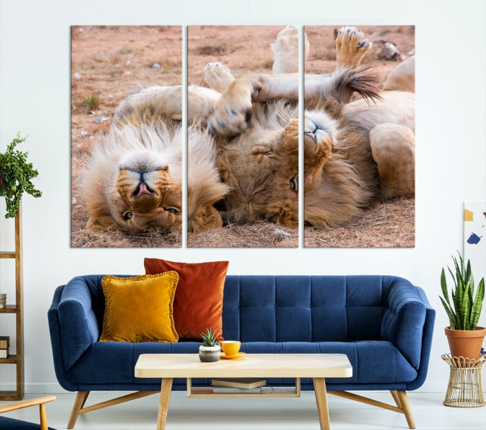 Cute Lions on Africa Savannah Framed Canvas Wall Art Giclee Print