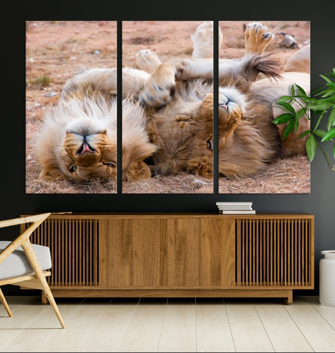 Cute Lions on Africa Savannah Framed Canvas Wall Art Giclee Print