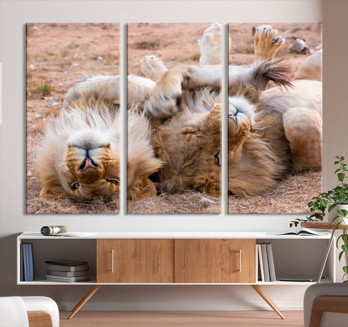 Cute Lions on Africa Savannah Framed Canvas Wall Art Giclee Print