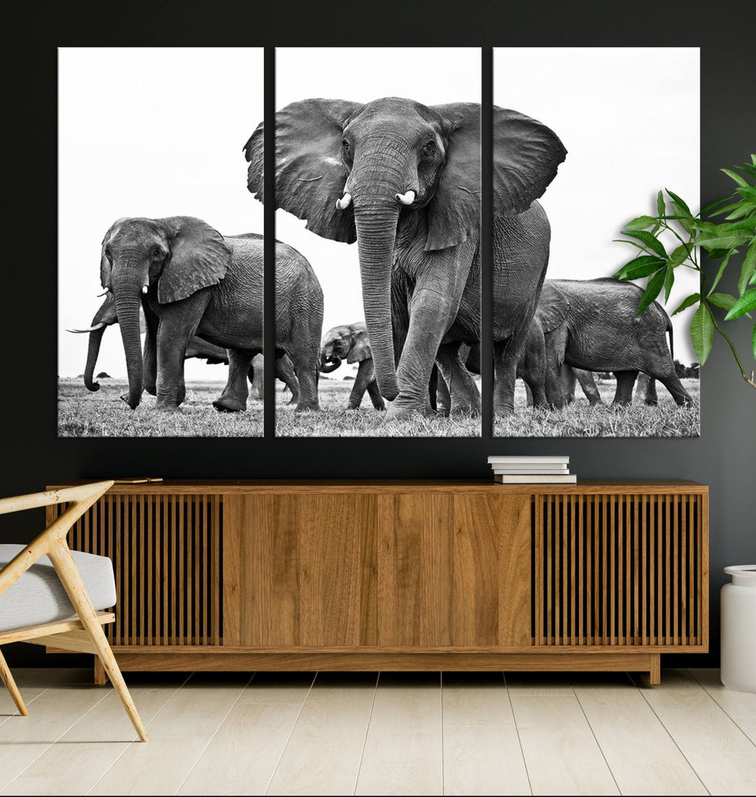 Elephant Herd Canvas Print Black and White Wall Art African Wildlife Animal Canvas Wall Decor