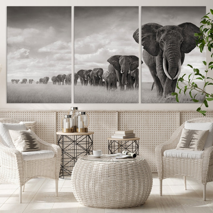 Wall Art Canvas Print