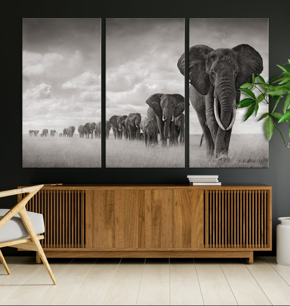 Wall Art Canvas Print