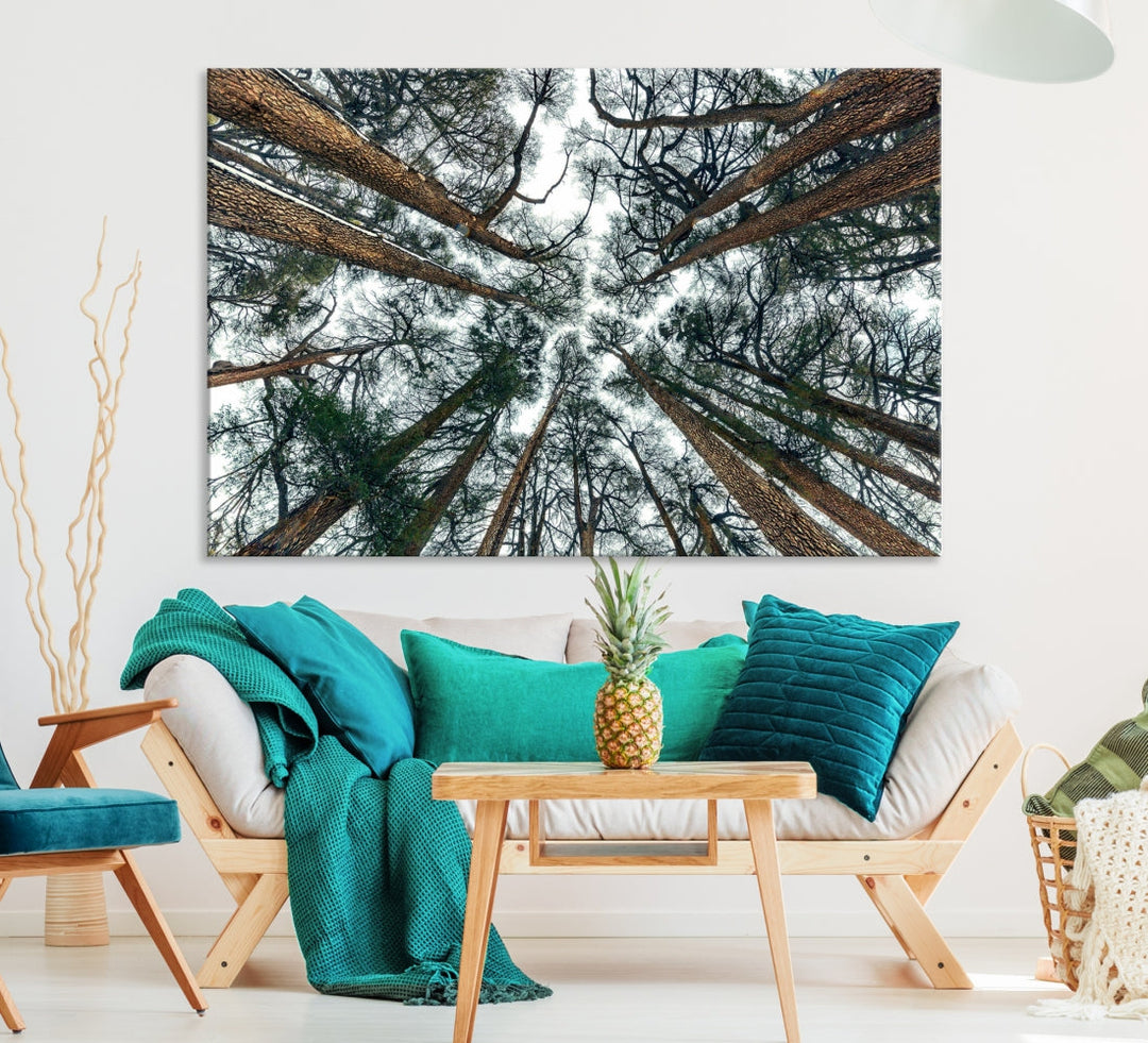 Extra Large Bottom View of Trees Nature Forest Wall Art Framed Canvas Print