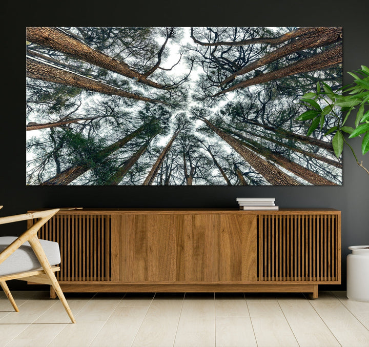 Extra Large Bottom View of Trees Nature Forest Wall Art Framed Canvas Print