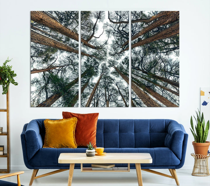 Extra Large Bottom View of Trees Nature Forest Wall Art Framed Canvas Print