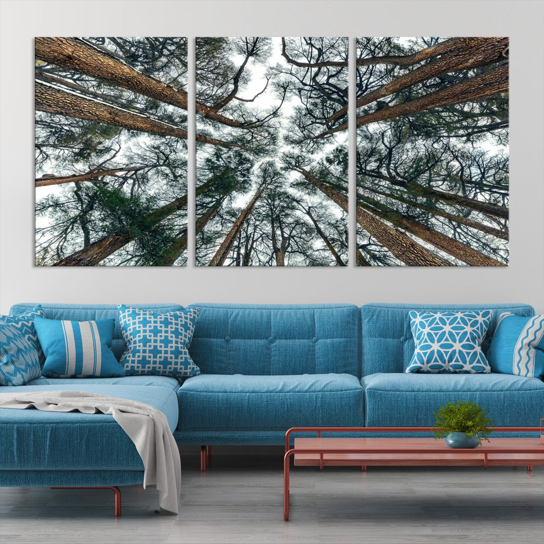 Extra Large Bottom View of Trees Nature Forest Wall Art Framed Canvas Print