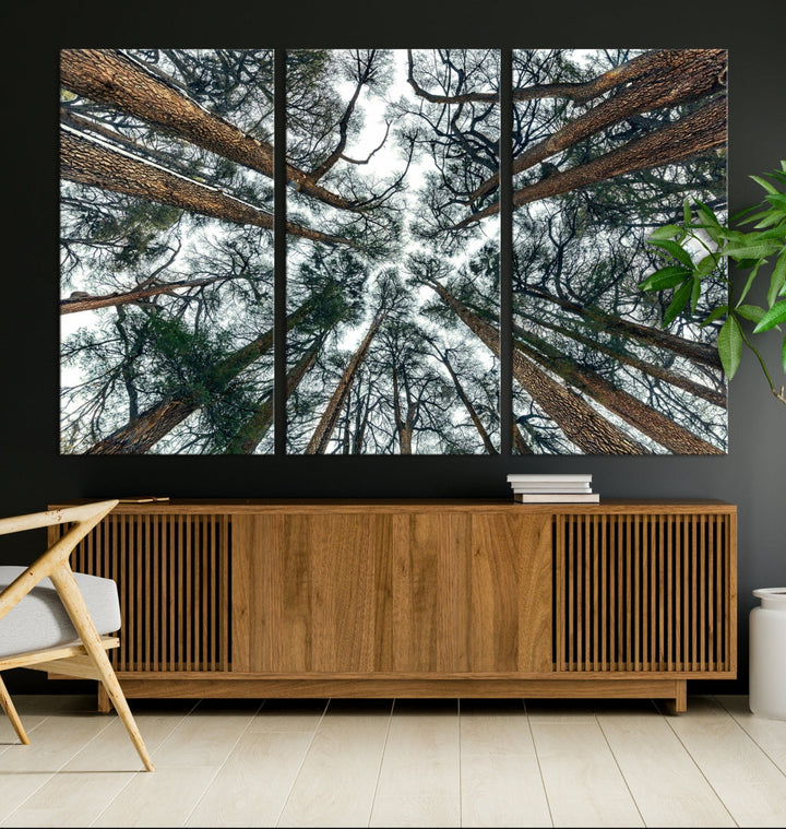 Extra Large Bottom View of Trees Nature Forest Wall Art Framed Canvas Print