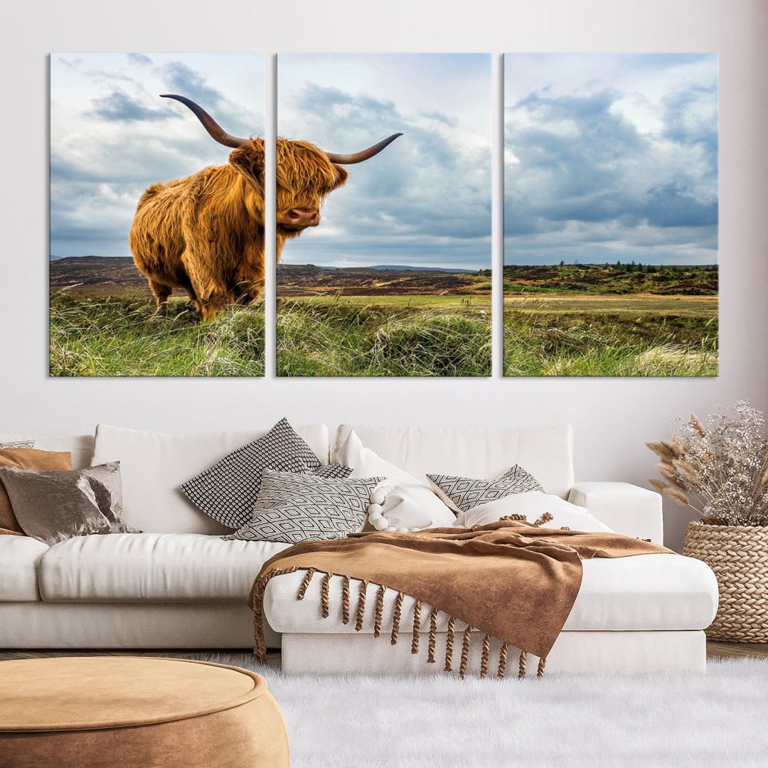 Extra Large Highland Cattle Wall Art Cow Canvas Print Animal Art