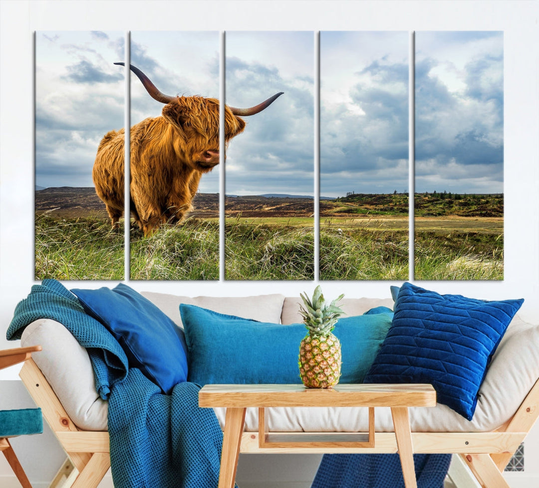 Extra Large Highland Cattle Wall Art Cow Canvas Print Animal Art