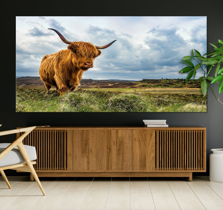 Extra Large Highland Cattle Wall Art Cow Canvas Print Animal Art