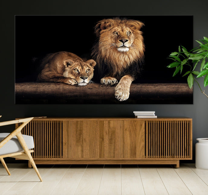 Extra Large Lion Photography Wall Art Animal Print Canvas Wall Decor