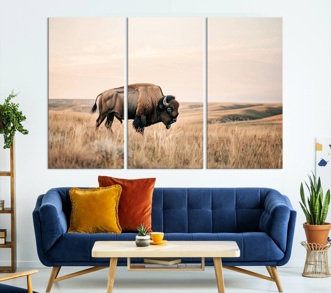 Field in American Bison Wall Art Print for Farmhouse Wall Decor, Western Canvas Print