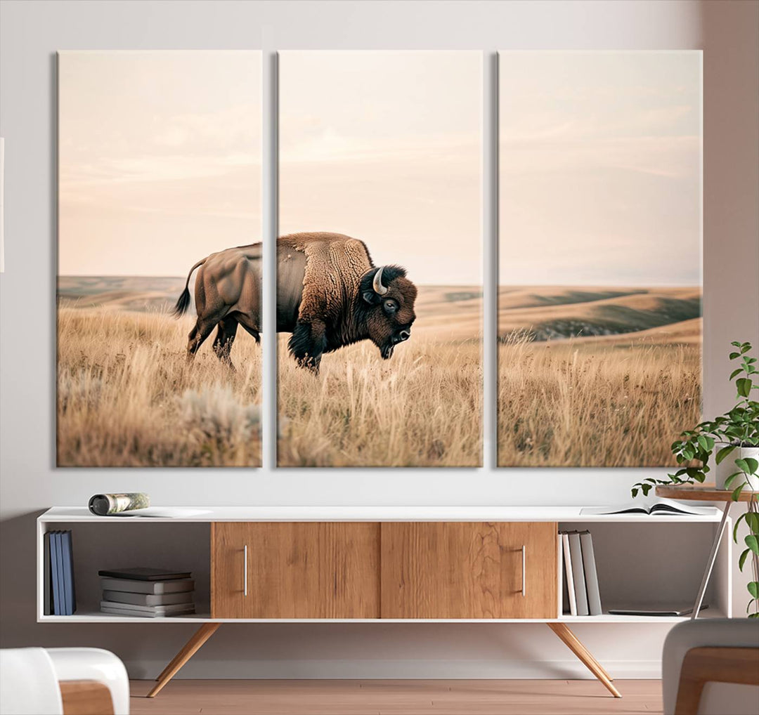 Field in American Bison Wall Art Print for Farmhouse Wall Decor, Western Canvas Print