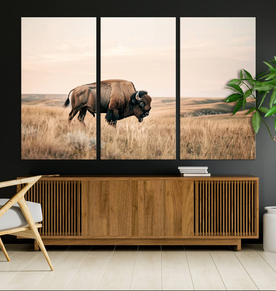 Field in American Bison Wall Art Print for Farmhouse Wall Decor, Western Canvas Print