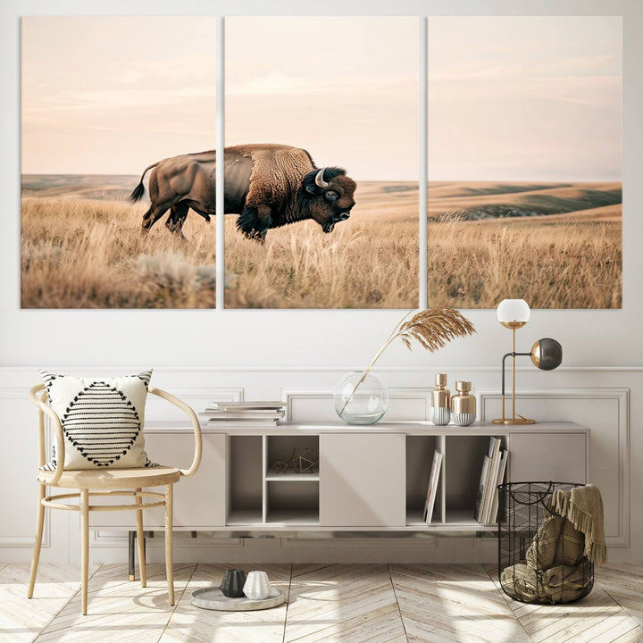 Field in American Bison Wall Art Print for Farmhouse Wall Decor, Western Canvas Print