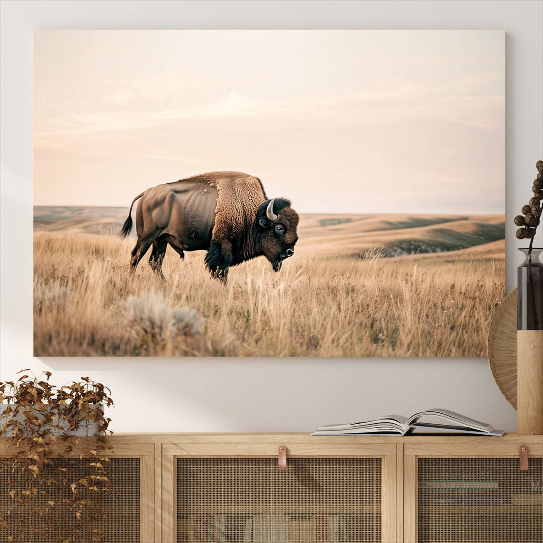 Field in American Bison Wall Art Print for Farmhouse Wall Decor, Western Canvas Print