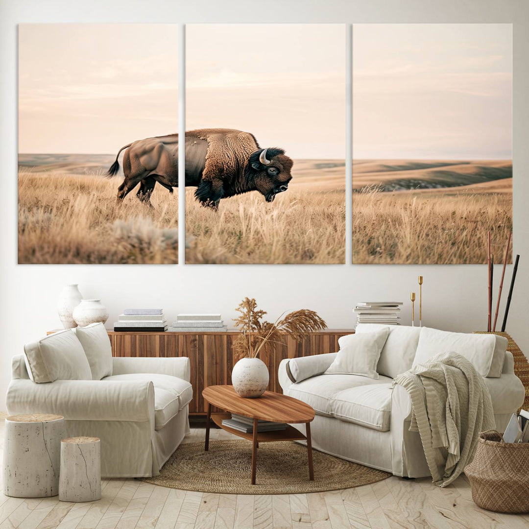 Field in American Bison Wall Art Print for Farmhouse Wall Decor, Western Canvas Print