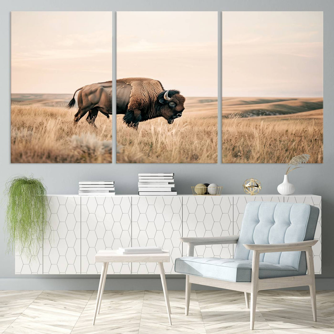 Field in American Bison Wall Art Print for Farmhouse Wall Decor, Western Canvas Print