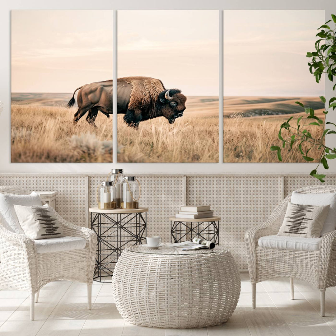 Field in American Bison Wall Art Print for Farmhouse Wall Decor, Western Canvas Print