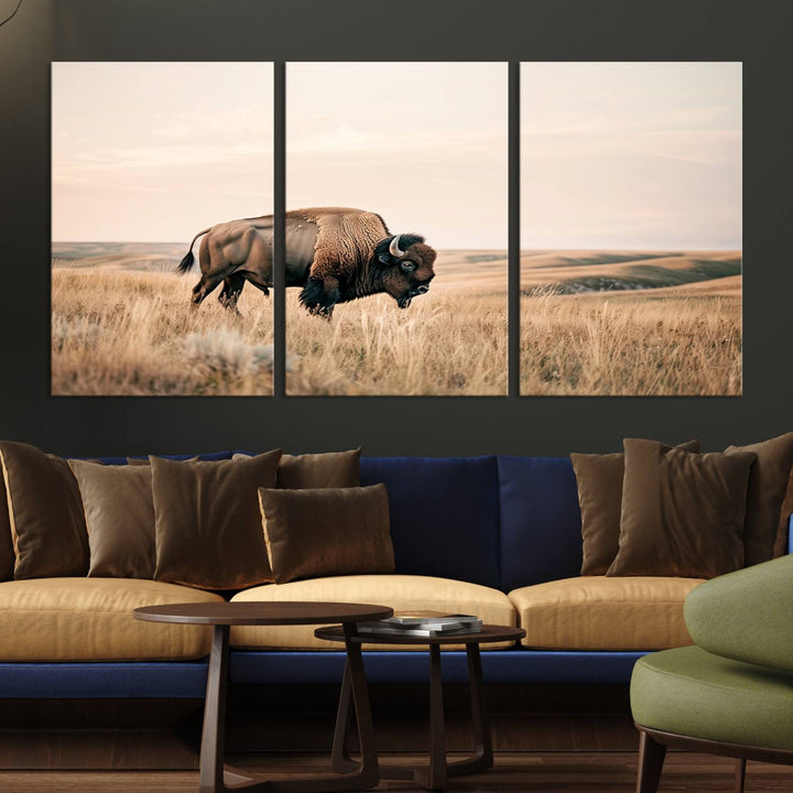 Field in American Bison Wall Art Print for Farmhouse Wall Decor, Western Canvas Print