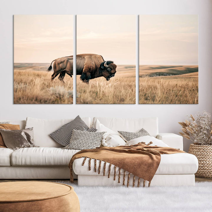 Field in American Bison Wall Art Print for Farmhouse Wall Decor, Western Canvas Print