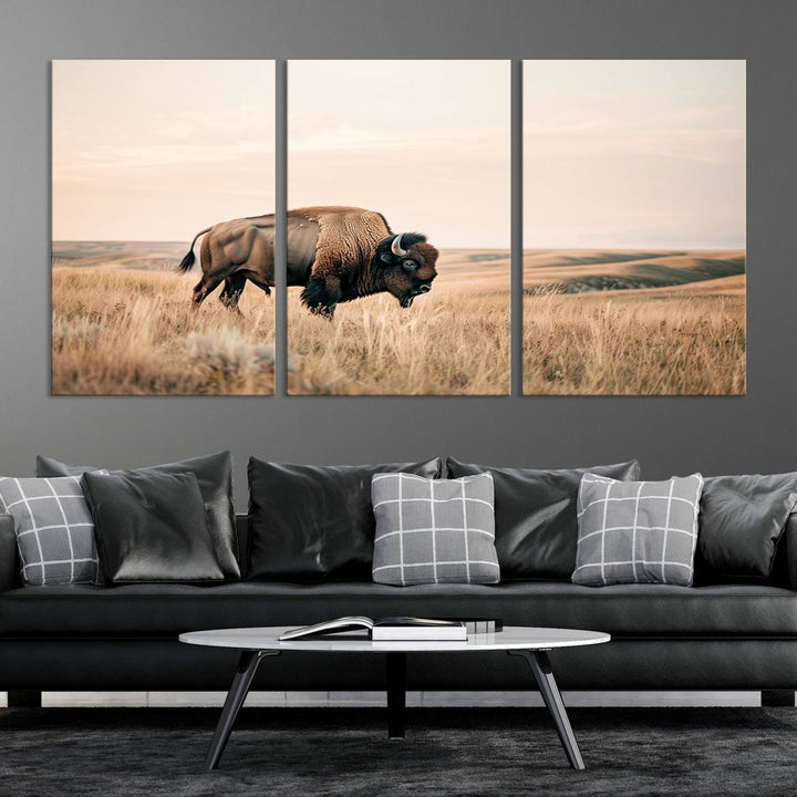 Field in American Bison Wall Art Print for Farmhouse Wall Decor, Western Canvas Print