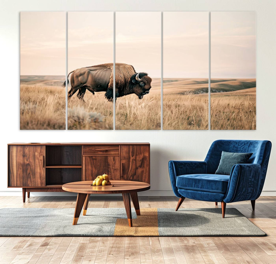 Field in American Bison Wall Art Print for Farmhouse Wall Decor, Western Canvas Print