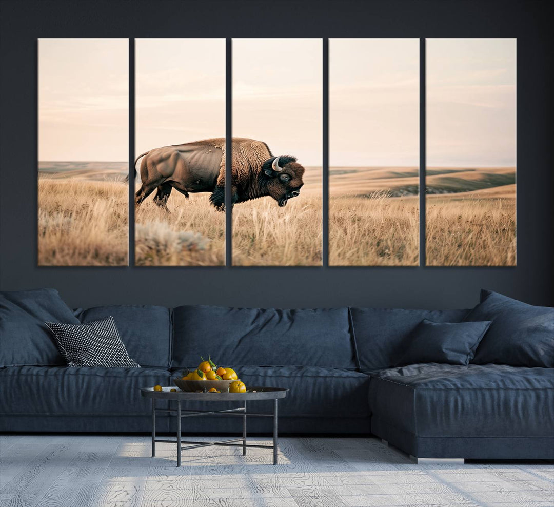 Field in American Bison Wall Art Print for Farmhouse Wall Decor, Western Canvas Print