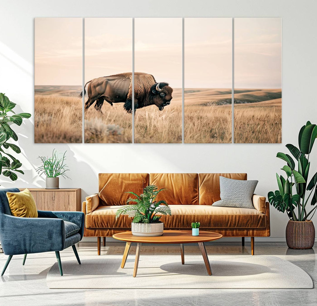 Field in American Bison Wall Art Print for Farmhouse Wall Decor, Western Canvas Print