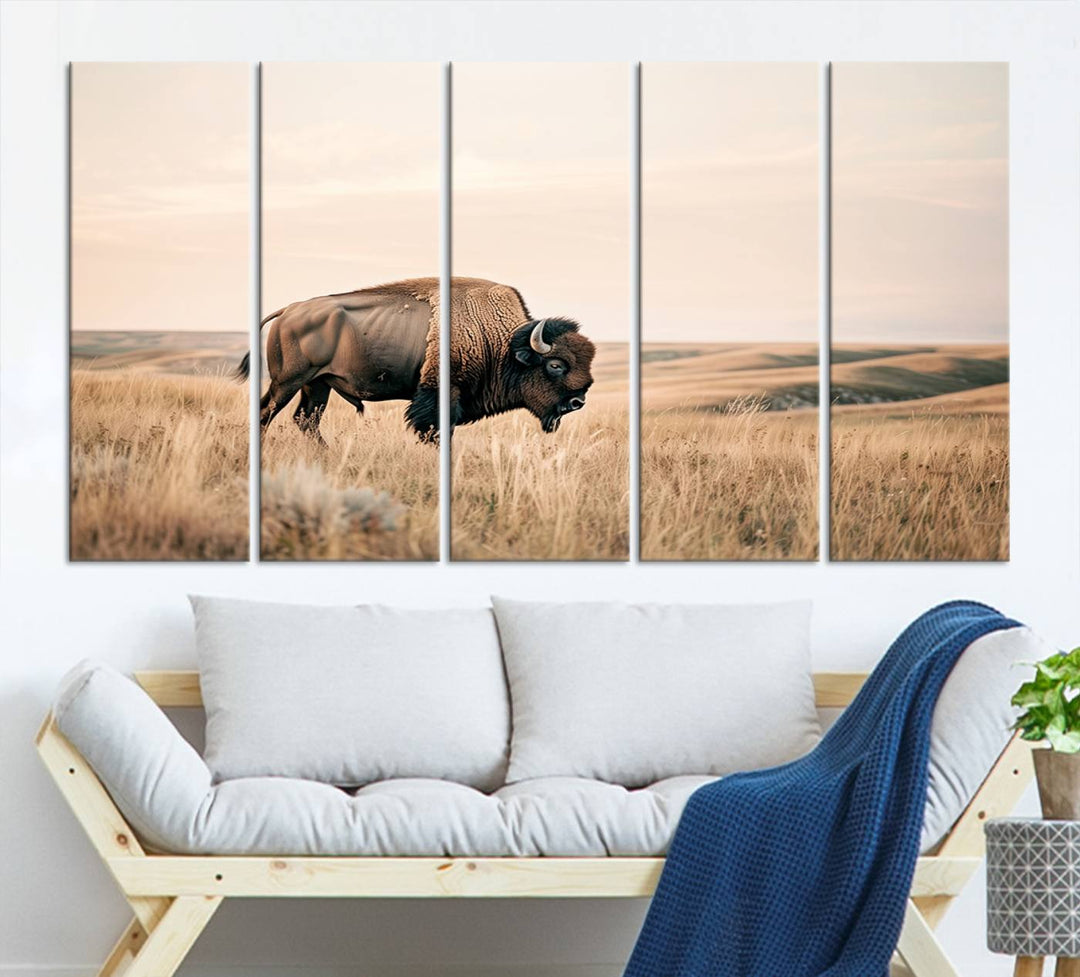 Field in American Bison Wall Art Print for Farmhouse Wall Decor, Western Canvas Print