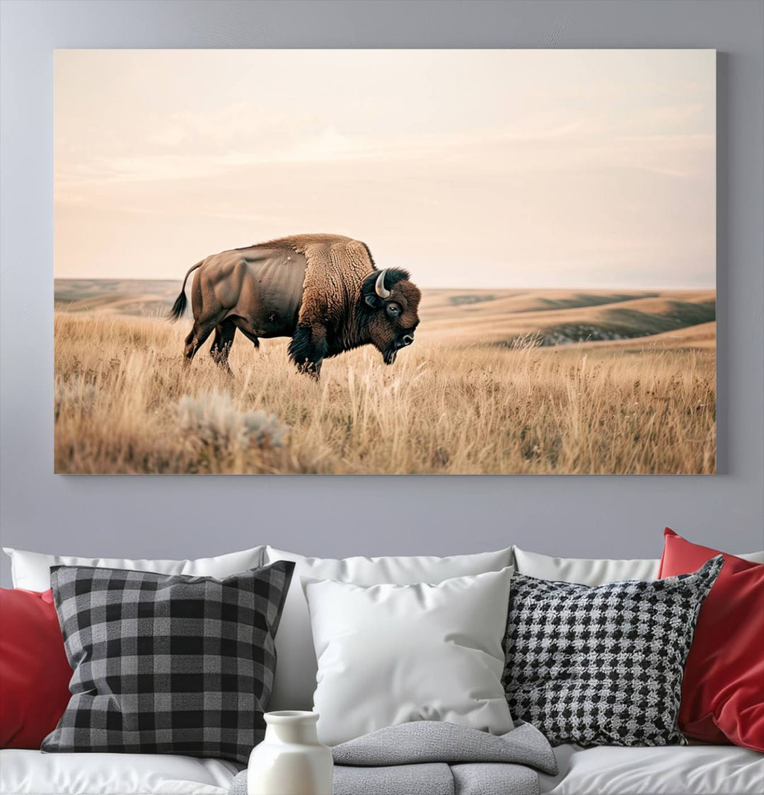 Field in American Bison Wall Art Print for Farmhouse Wall Decor, Western Canvas Print