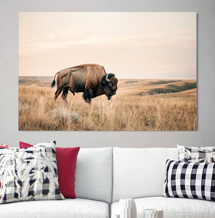 Field in American Bison Wall Art Print for Farmhouse Wall Decor, Western Canvas Print