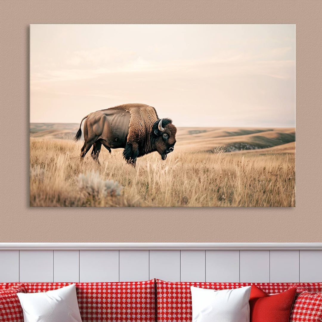 Field in American Bison Wall Art Print for Farmhouse Wall Decor, Western Canvas Print