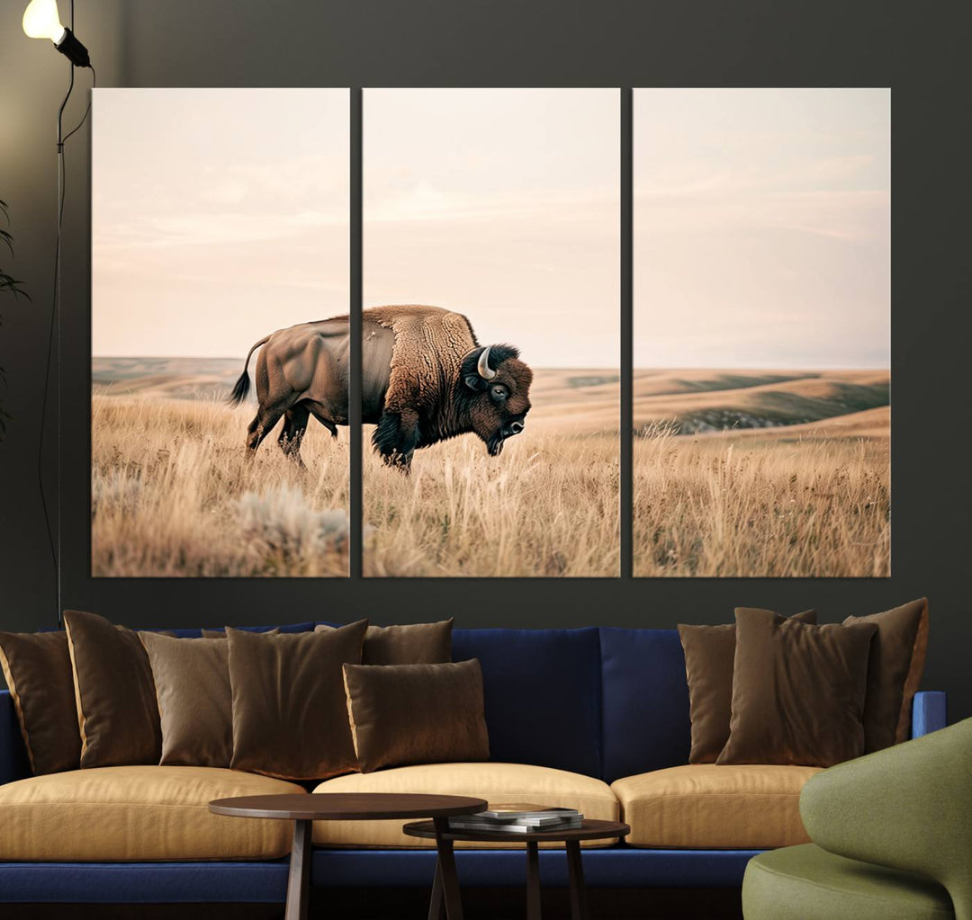 Field in American Bison Wall Art Print for Farmhouse Wall Decor, Western Canvas Print