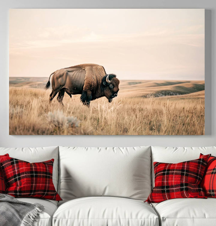 Field in American Bison Wall Art Print for Farmhouse Wall Decor, Western Canvas Print