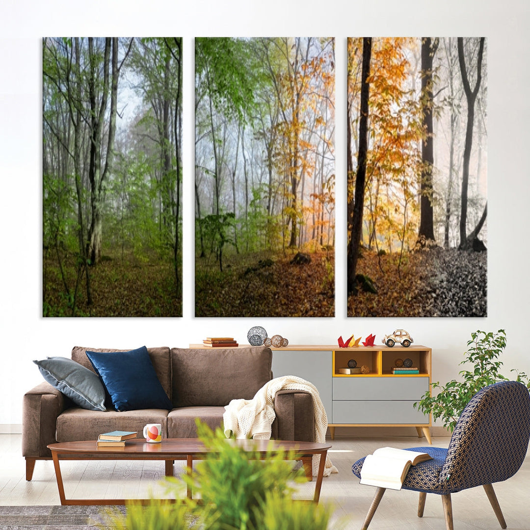 Four Season Forest Wall Art Framed Canvas Giclee Print