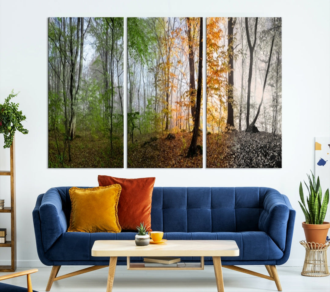 Four Season Forest Wall Art Framed Canvas Giclee Print