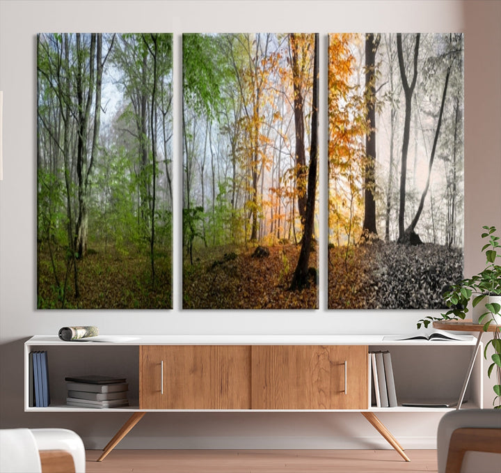 Four Season Forest Wall Art Framed Canvas Giclee Print