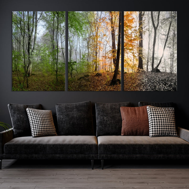 Four Season Forest Wall Art Framed Canvas Giclee Print