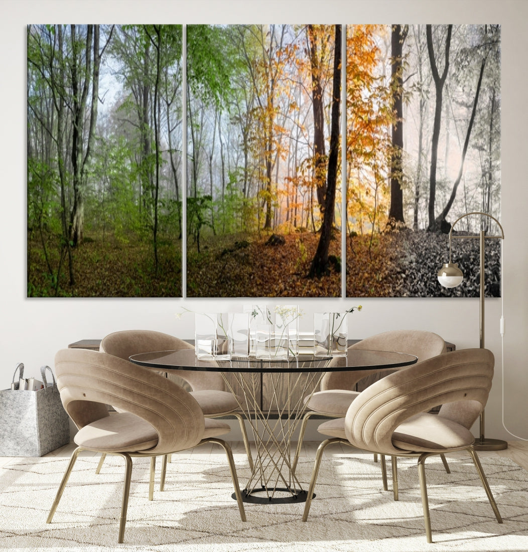 Four Season Forest Wall Art Framed Canvas Giclee Print