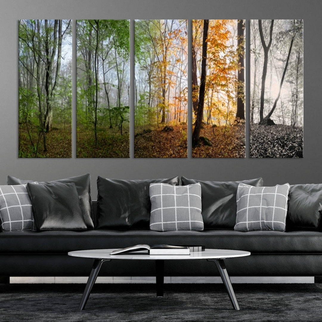 Four Season Forest Wall Art Framed Canvas Giclee Print