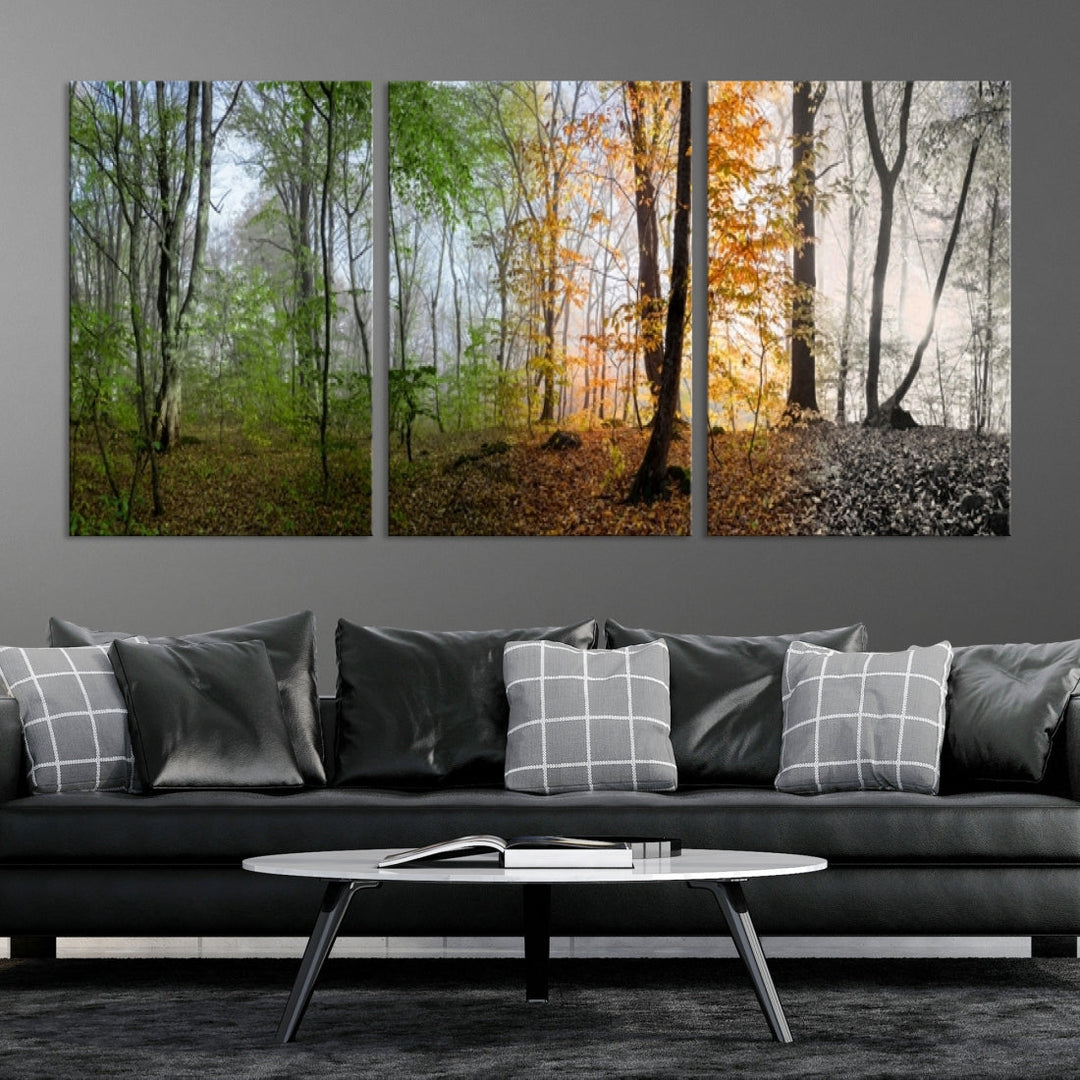 Four Season Forest Wall Art Framed Canvas Giclee Print