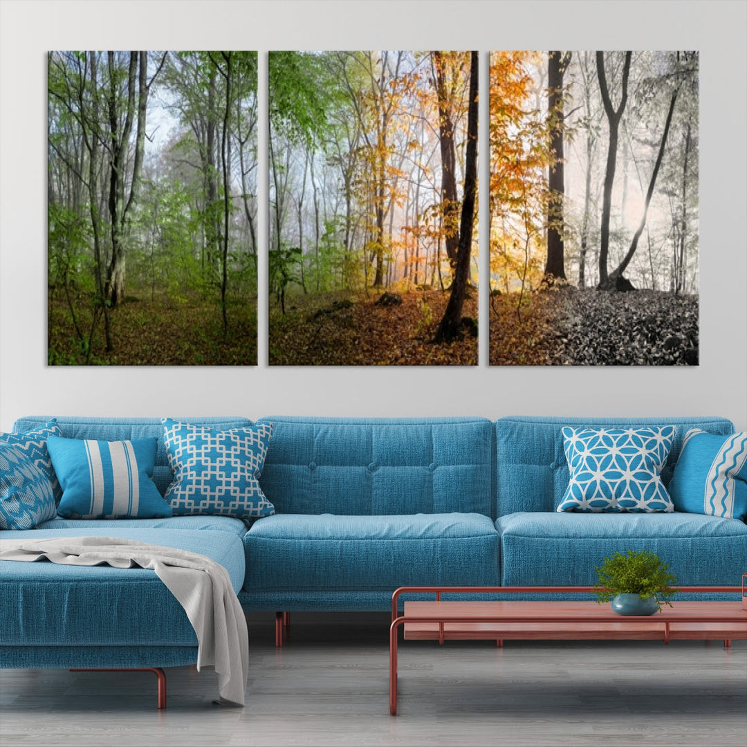 Four Season Forest Wall Art Framed Canvas Giclee Print