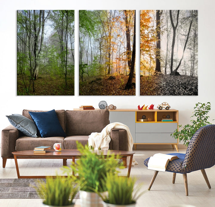 Four Season Forest Wall Art Framed Canvas Giclee Print