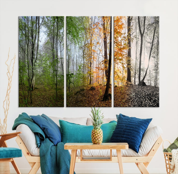 Bring the Beauty of the Four Seasons in a Forest Landscape with Large Trees to Your Home with Our Wall Art Canvas Print