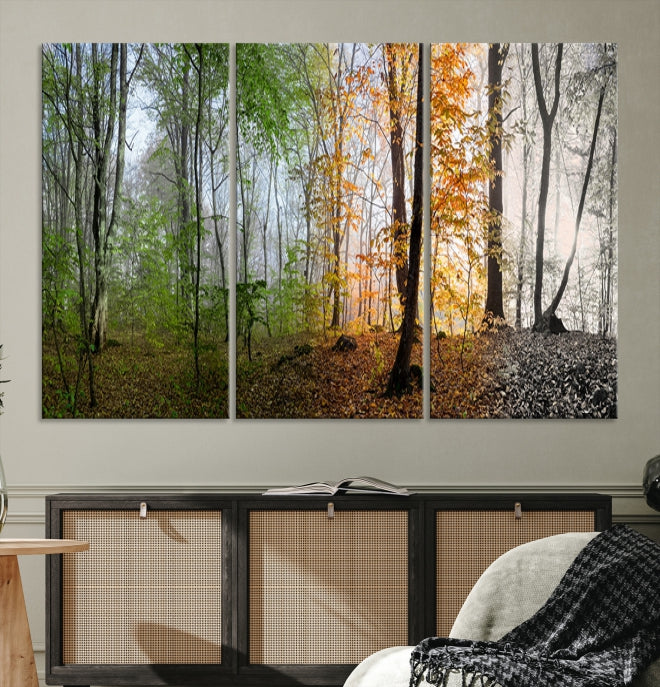 Bring the Beauty of the Four Seasons in a Forest Landscape with Large Trees to Your Home with Our Wall Art Canvas Print