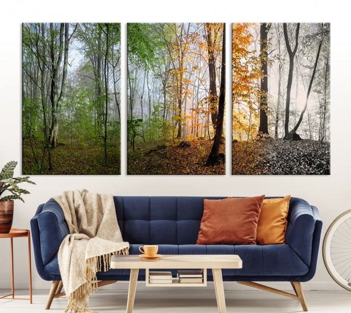 Bring the Beauty of the Four Seasons in a Forest Landscape with Large Trees to Your Home with Our Wall Art Canvas Print