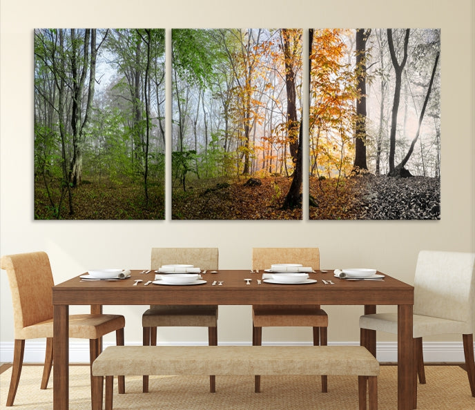 Bring the Beauty of the Four Seasons in a Forest Landscape with Large Trees to Your Home with Our Wall Art Canvas Print